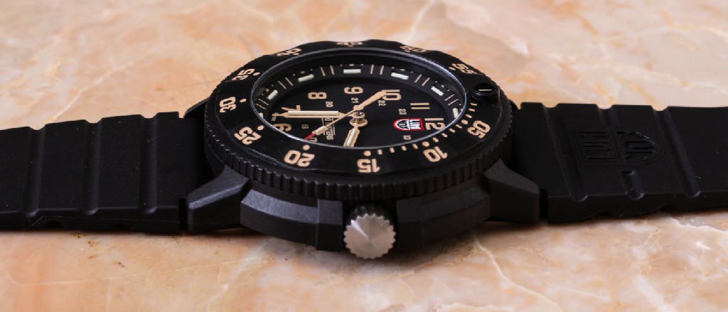 观看评论：Luminox Original Navy SEAL Evo 3001