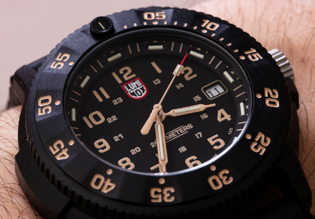 观看评论：Luminox Original Navy SEAL Evo 3001