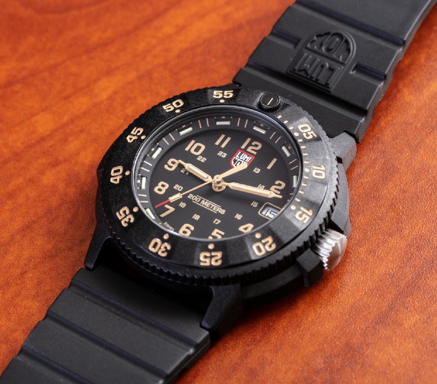 观看评论：Luminox Original Navy SEAL Evo 3001