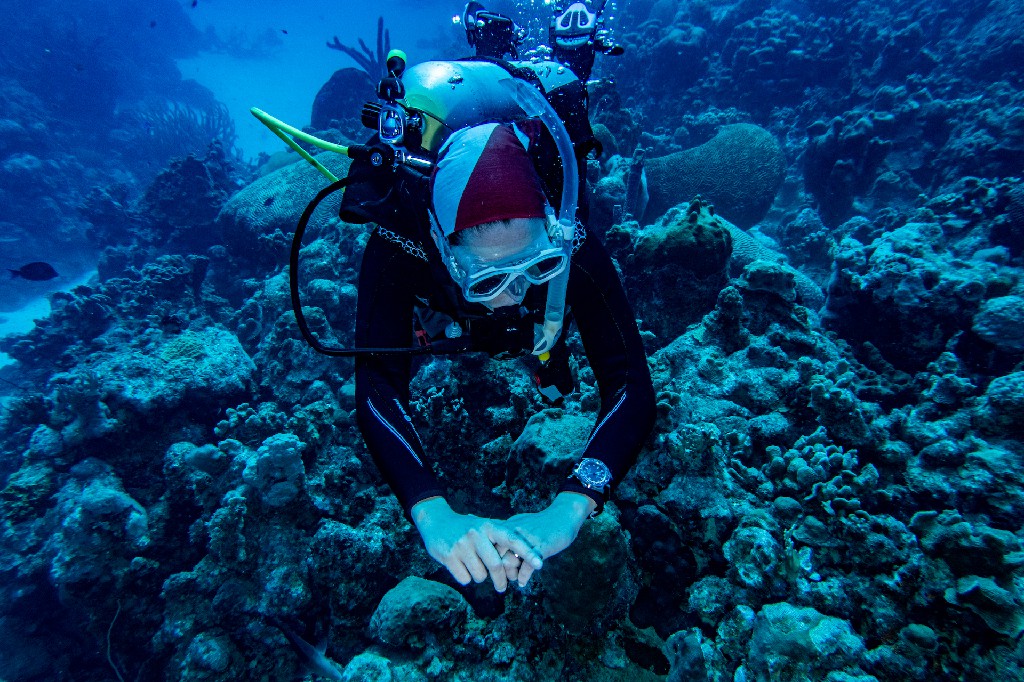 一位女士在水下佩戴帝舵 Pelagos FXD。