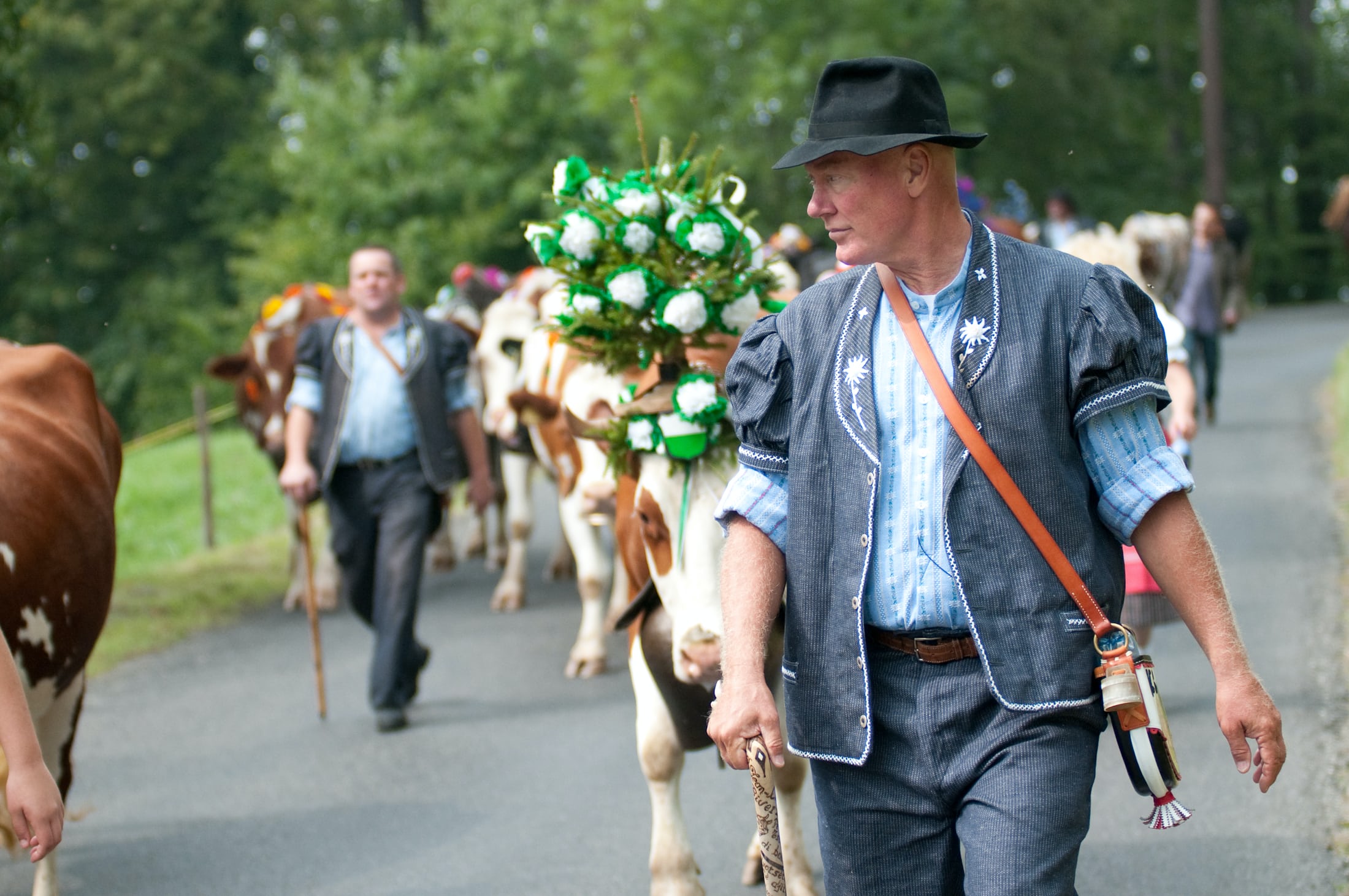 让-克洛德·比弗 (Jean-Claude Biver) 穿着传统的瑞士服装走在奶牛旁边的街道上。